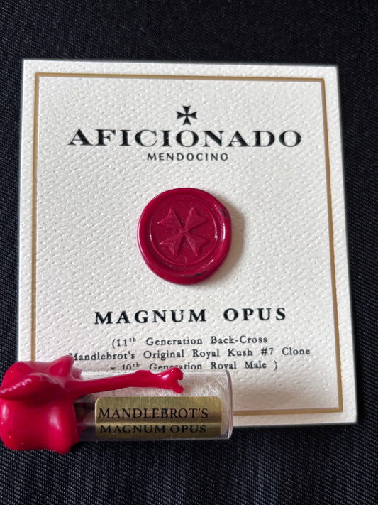 Aficionado - Magnum Opus