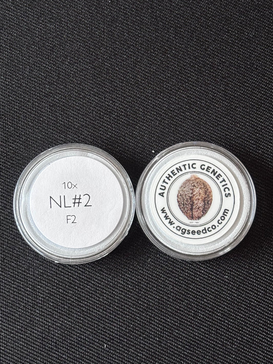 Authentic Genetics - Northern Lights #2 F2