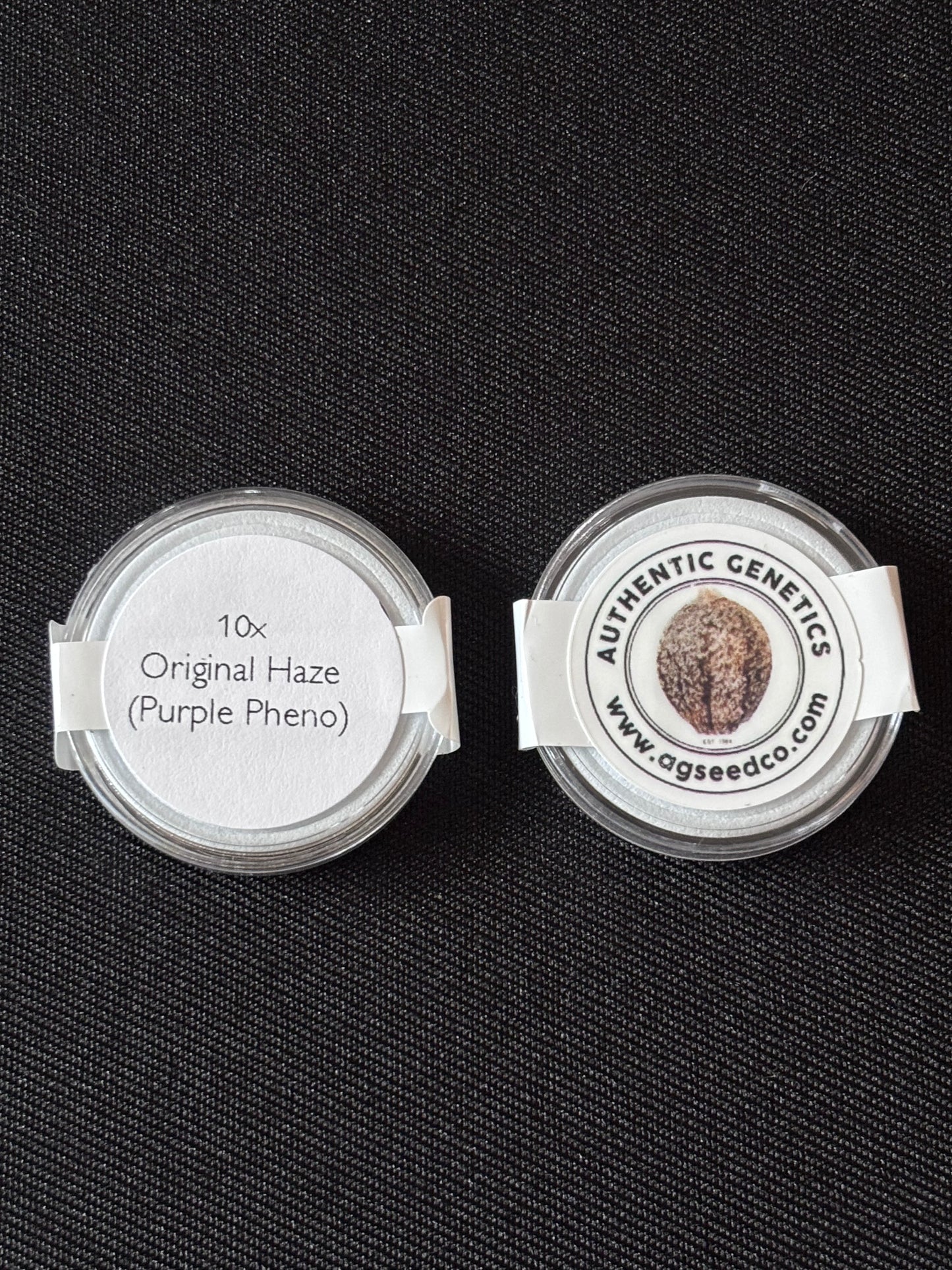 Authentic Genetics - Original Haze (Purple Pheno)