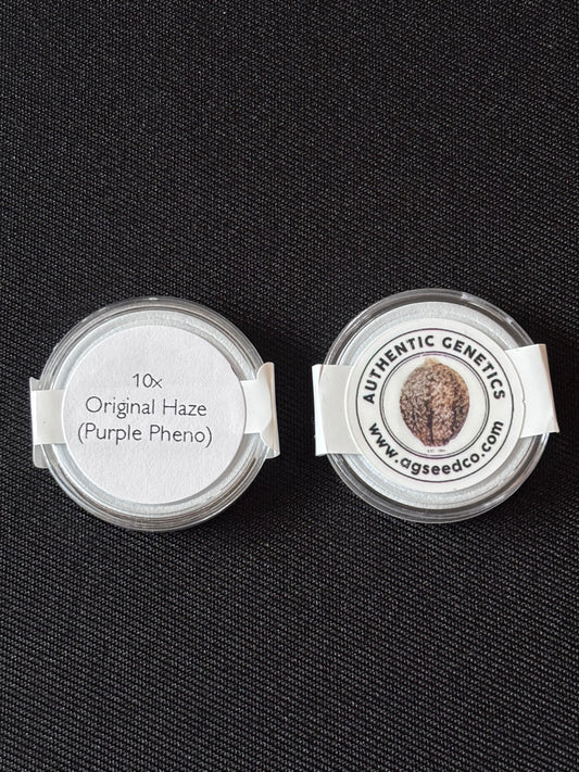 Authentic Genetics - Original Haze (Purple Pheno)