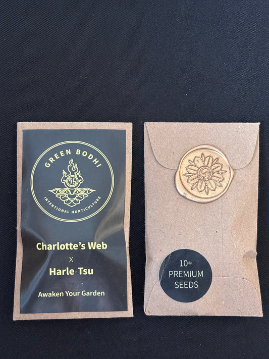 Green Bodhi - Charlotte's Web x Harle Tsu