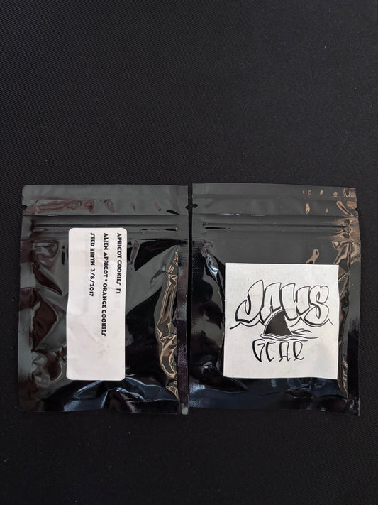 Jaws Gear - Apricot Cookies F1