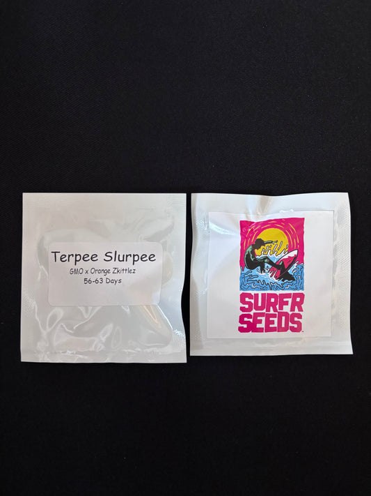 Surfr - Terpee Slurpee