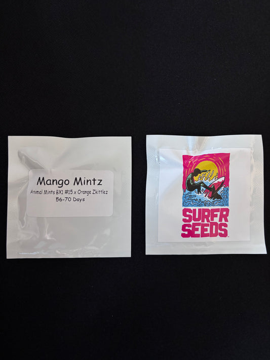 Surfr - Mango Mintz