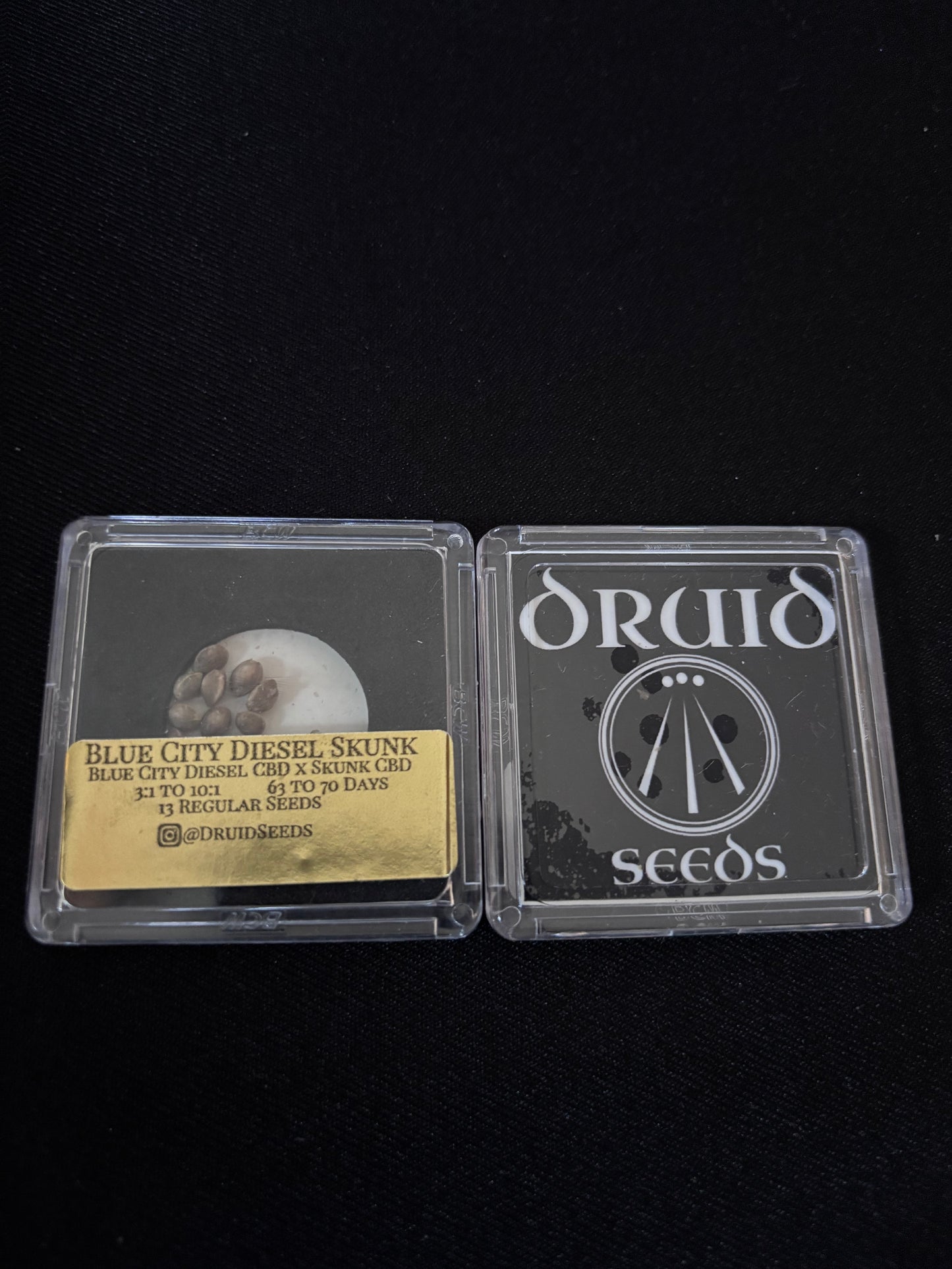 Druid - Blue City Diesel Skunk