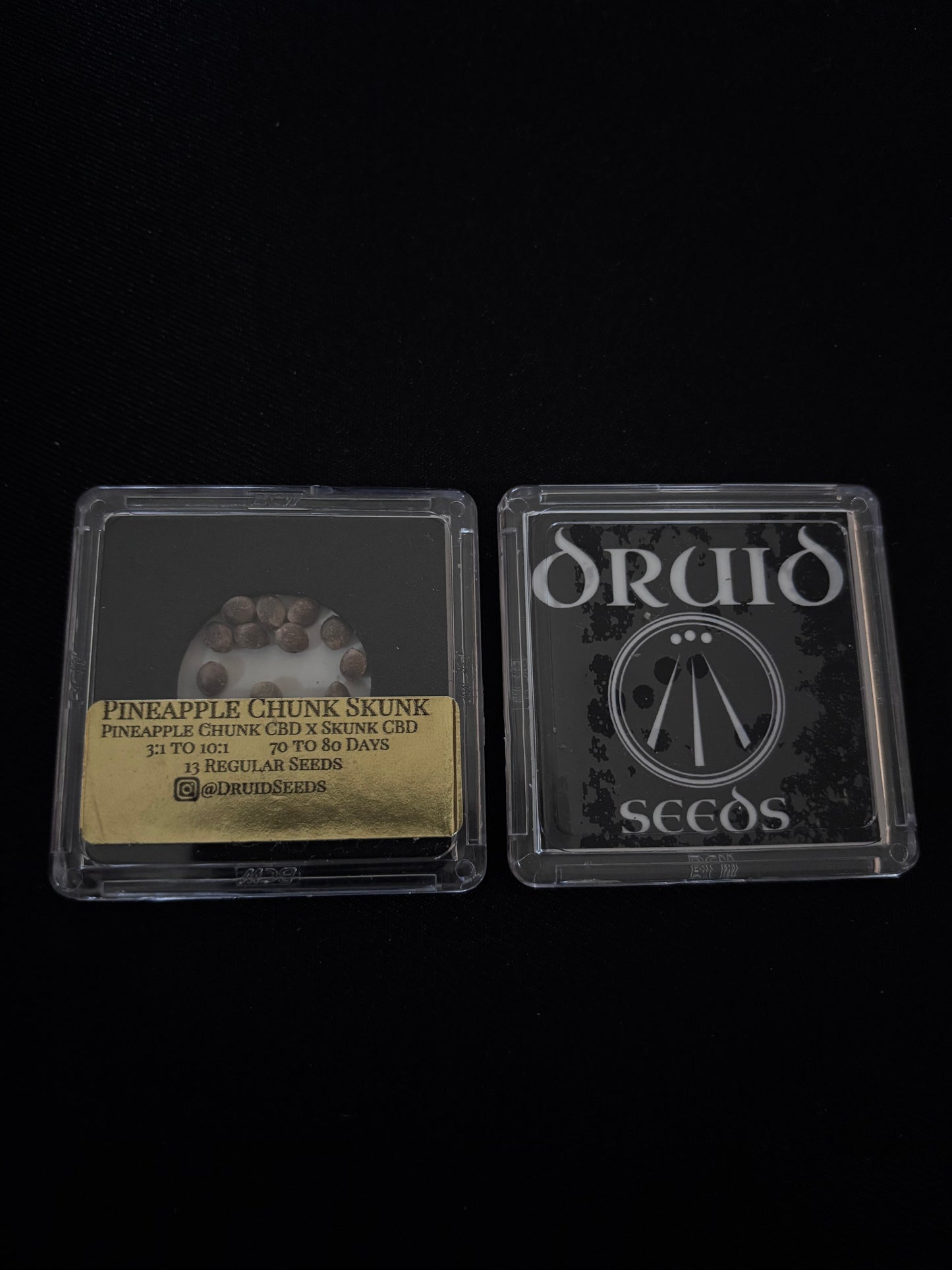 Druid - Pineapple Chunk Skunk