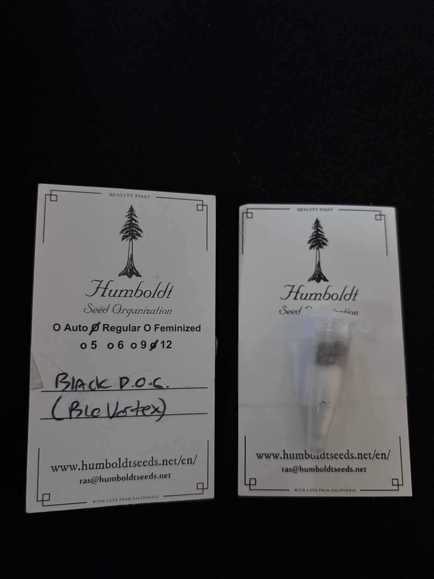 Humboldt - Black D.O.G