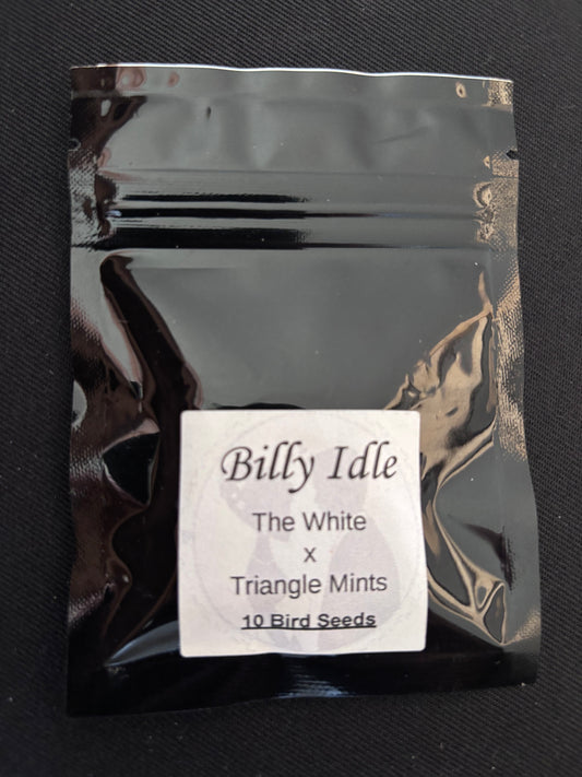 Seedjunky - Billy Idle