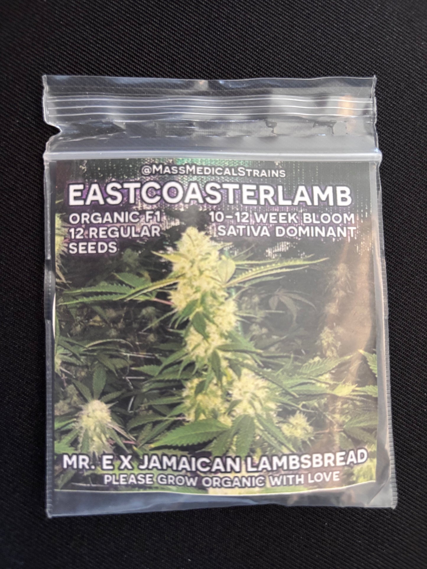 Mass Medical - East Coaster Lamb