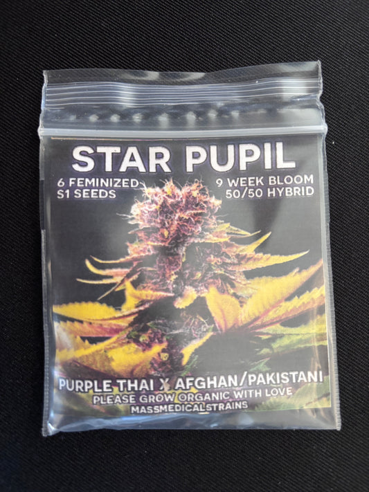 Mass Medical - Star Pupil