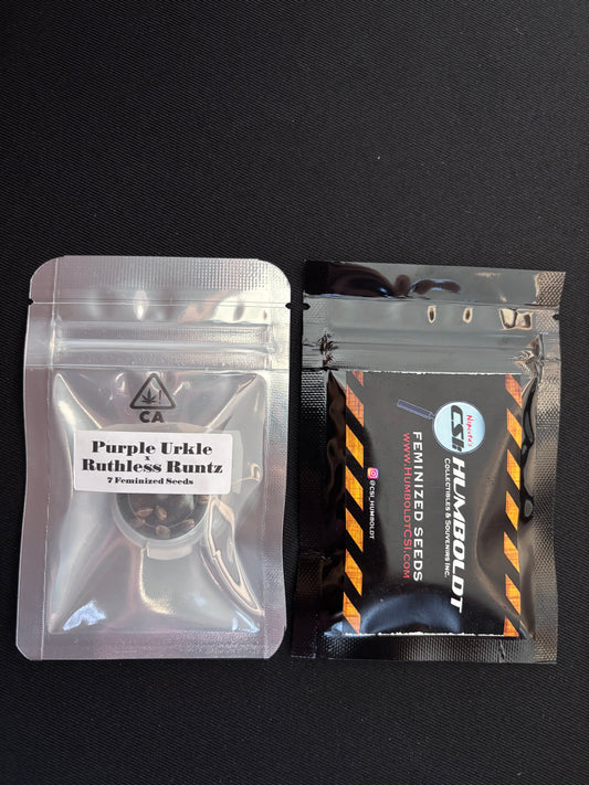 CSI Humboldt - Purple Urkel x Ruthless Runtz
