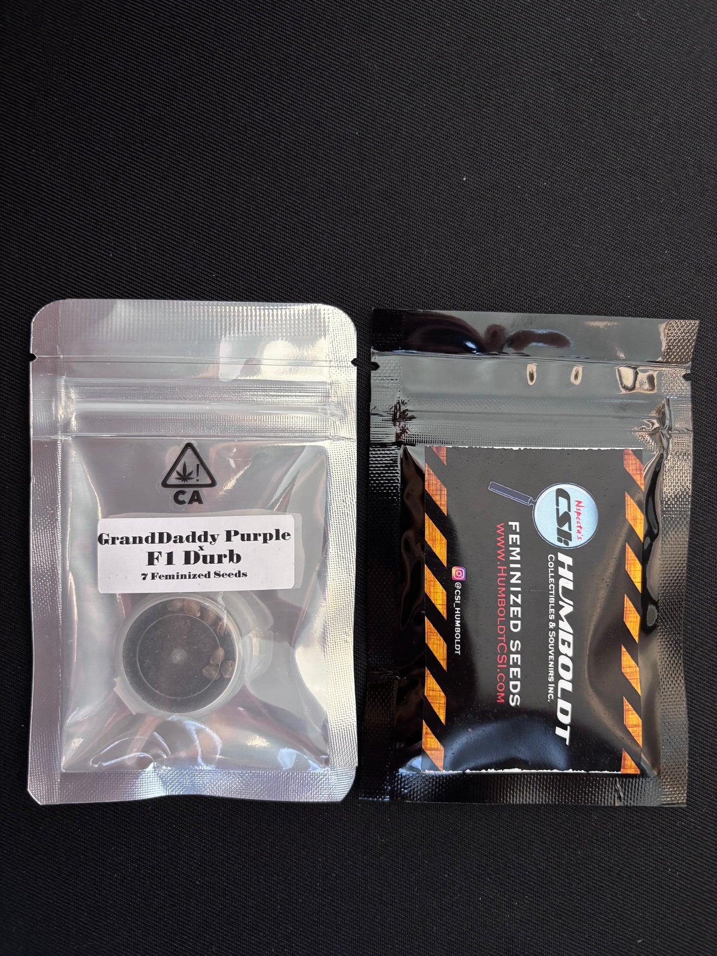 CSI Humboldt - Grand Daddy Purple x F1 Durb