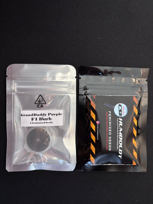CSI Humboldt - Grand Daddy Purple x F1 Durb