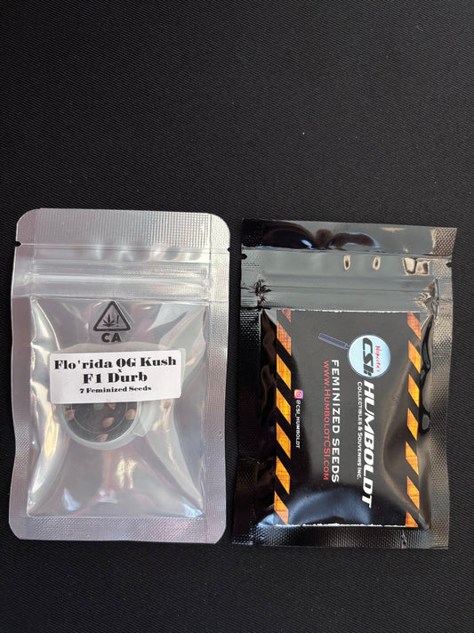 CSI Humboldt - Flo'rida OG Kush x F1 Durb