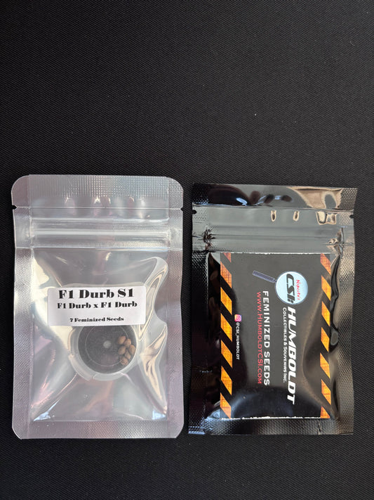 CSI Humboldt - F1 Durb S1