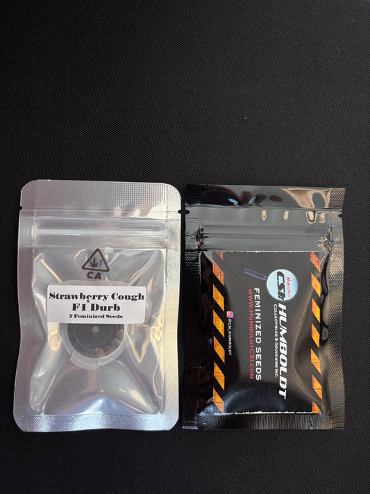 CSI Humboldt - Strawberry Cough x F1 Durb