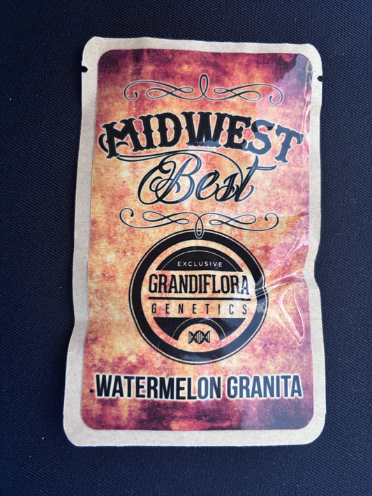 Midwest Best - Watermelon Granita